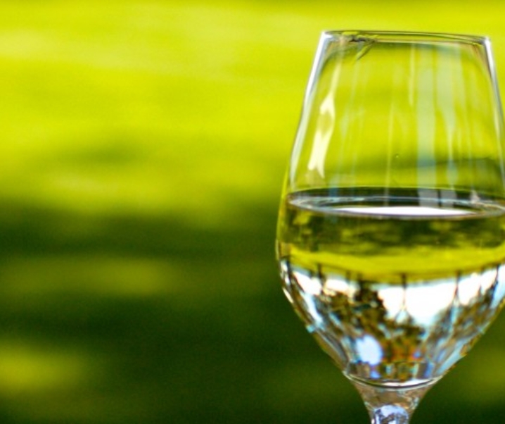 A Sunny Day at Cloudy Bay Winery